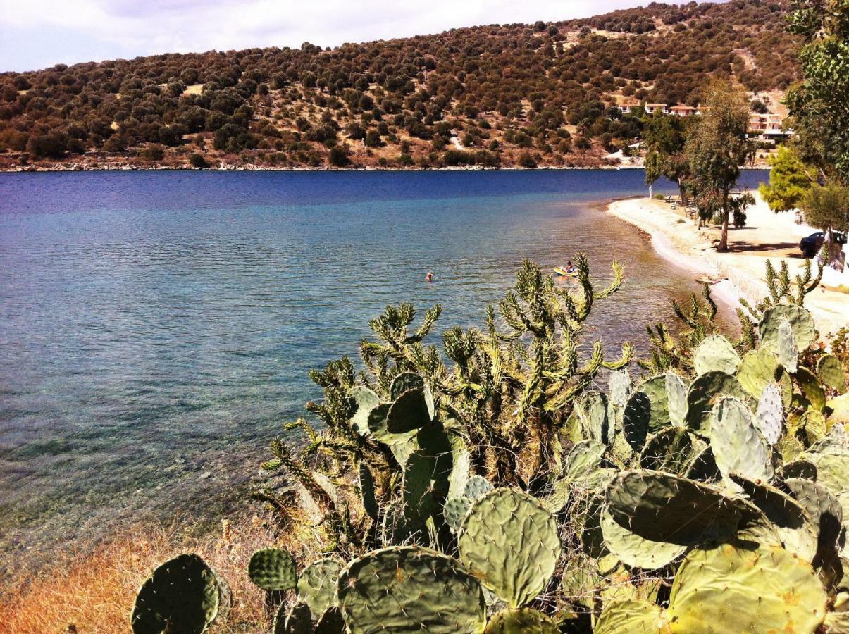 Sea Front Studio - Porto Boufalo - Evia Extérieur photo